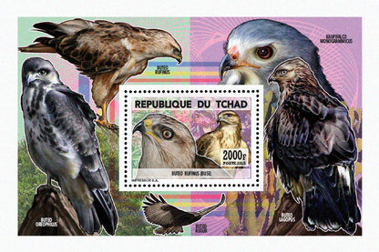 Insects and Birds  / Raptors 550f