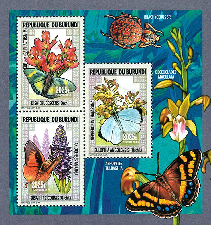 Fauna & Flora : Orchids and Butterflies