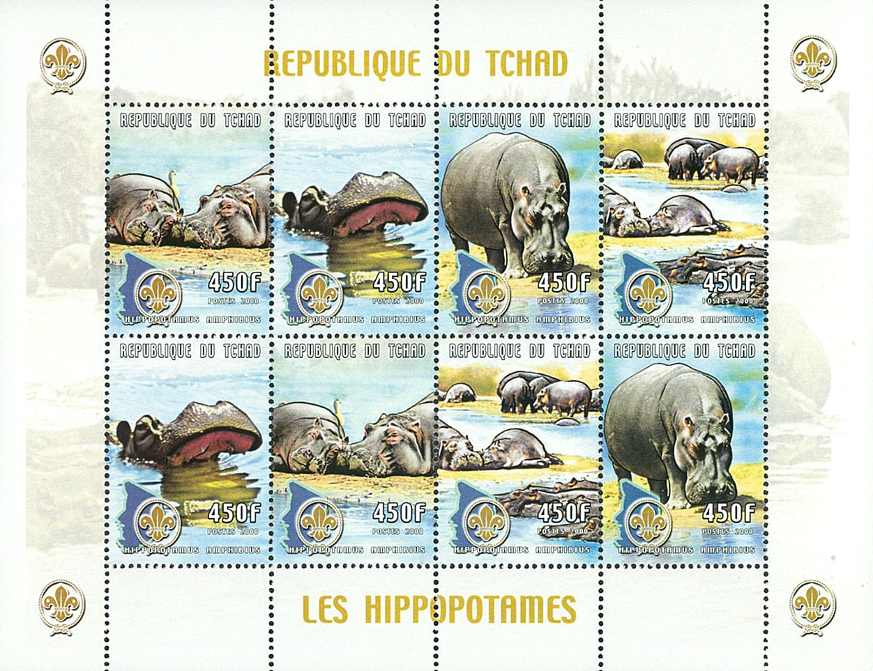Wild Fauna & Scounting