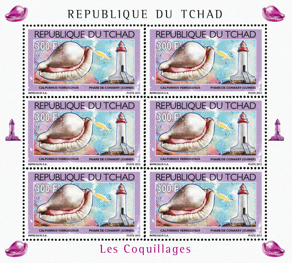 Shells & Lighthouses 2012