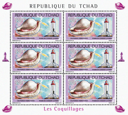 Shells & Lighthouses 2012