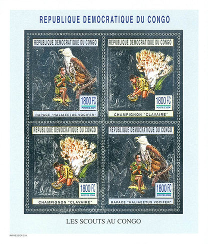 Scouting and Nature (Silver Issue)
