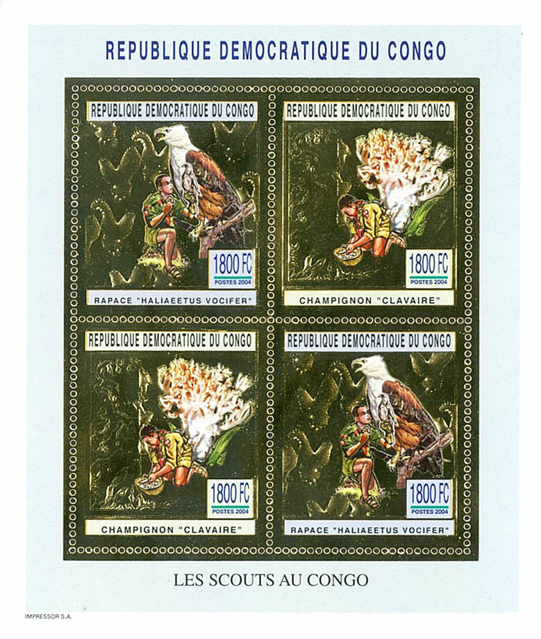 Scouting and Nature (Gold Issue)