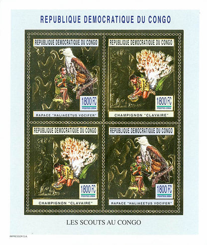 Scouting and Nature (Gold Issue)