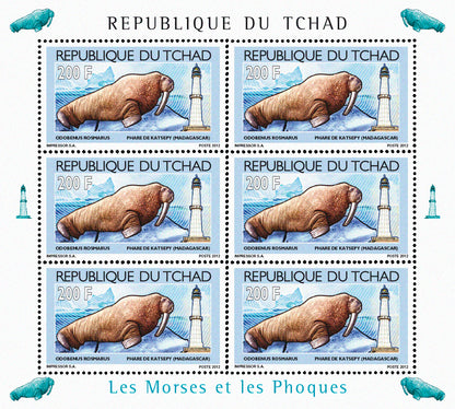 Walruses & Lighthouses 2012