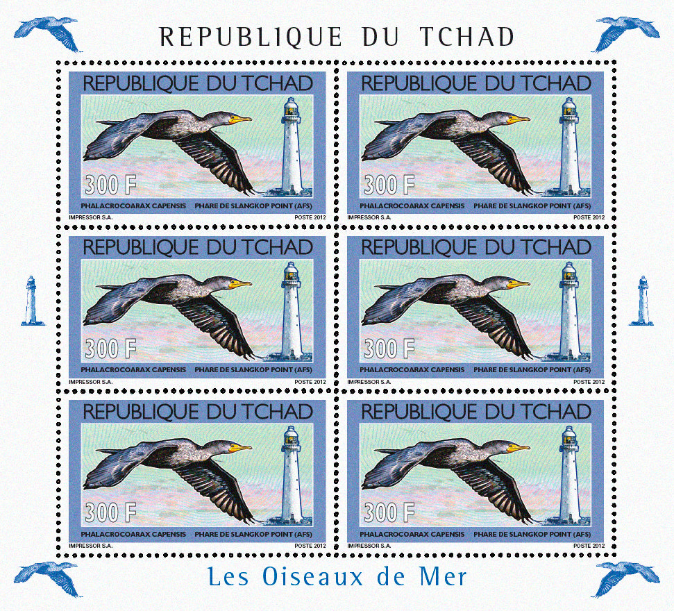 Seabirds & Lighthouses 2012