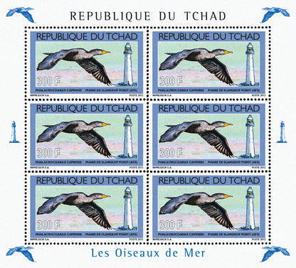 Seabirds & Lighthouses 2012