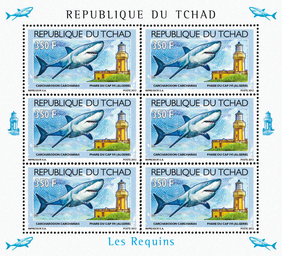 Sharks & Lighthouses