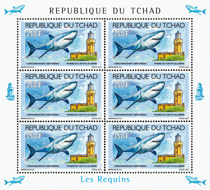 Sharks & Lighthouses