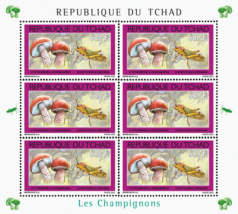 Mushrooms & Insects (2)