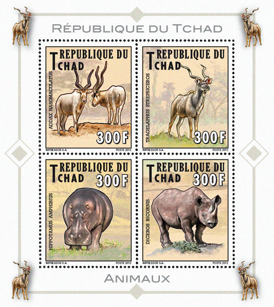 Native Mammals 2012 / Otters, Manatees, Wildlife