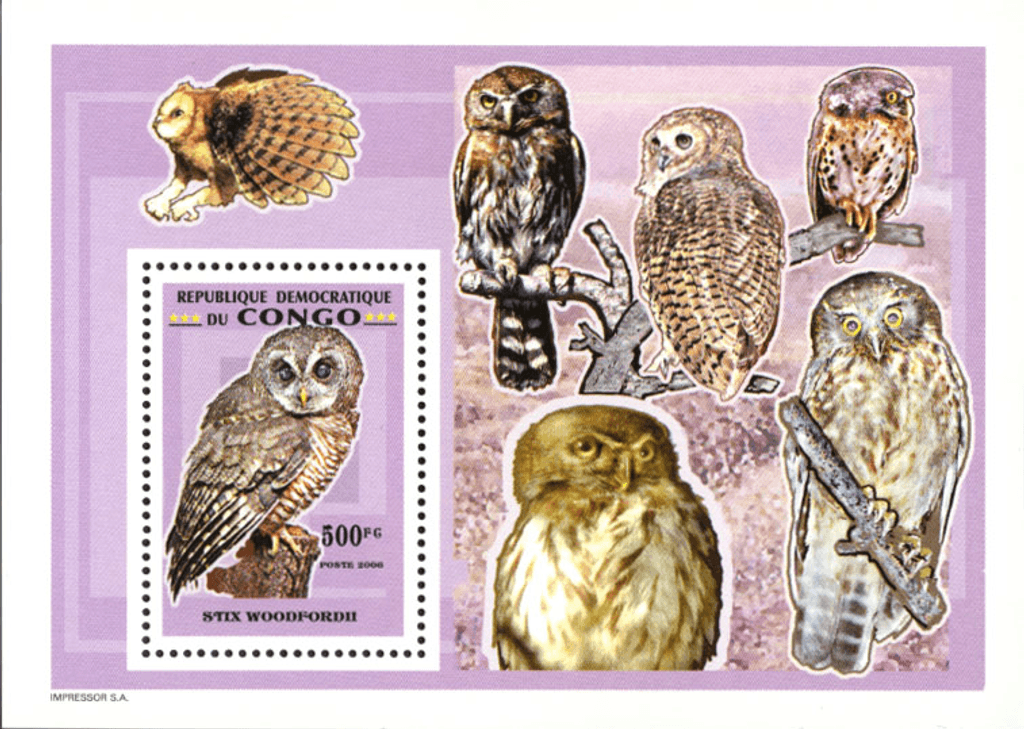 Owls
