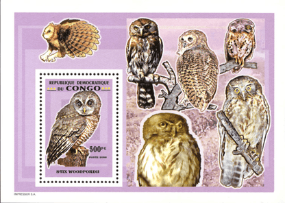 Owls