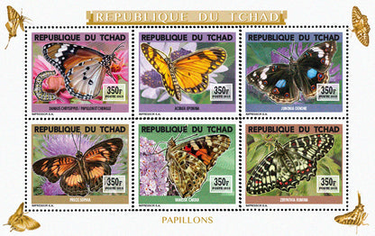 Insects and Birds  / Butterflies