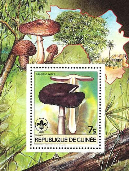 Fauna & Flora : Mushrooms & Scouting