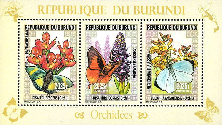 Fauna & Flora : Orchids and Butterflies
