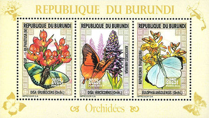 Fauna & Flora : Orchids and Butterflies