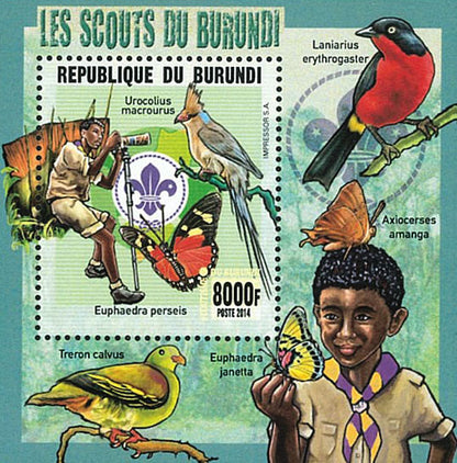 Scouts of Burundi / Mineralogy / Butterflies (II)