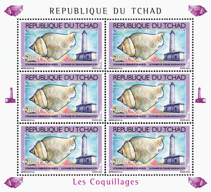 Shells & Lighthouses 2012