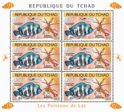 Fish and Shellfish 2012