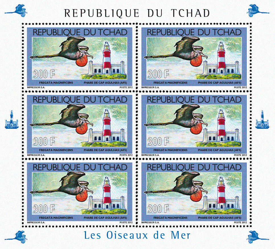 Seabirds & Lighthouses 2012