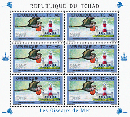 Seabirds & Lighthouses 2012