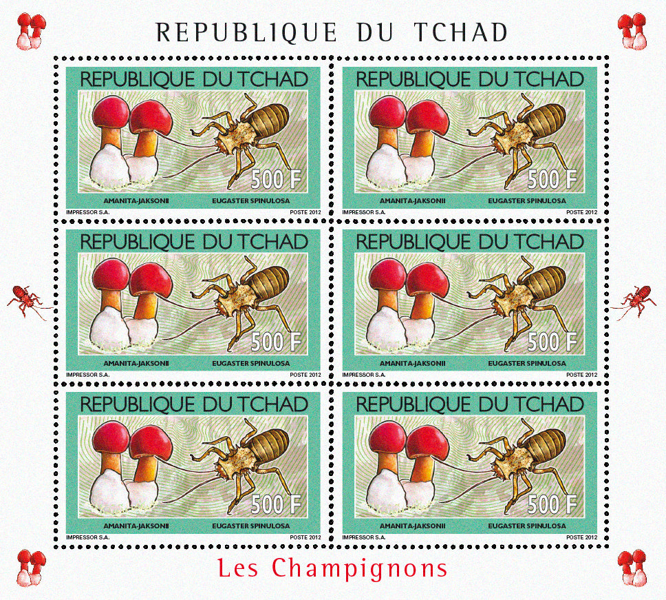 Mushrooms & Beetles (1)