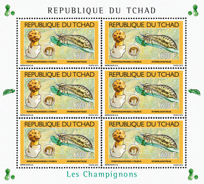 Mushrooms & Insects (2)