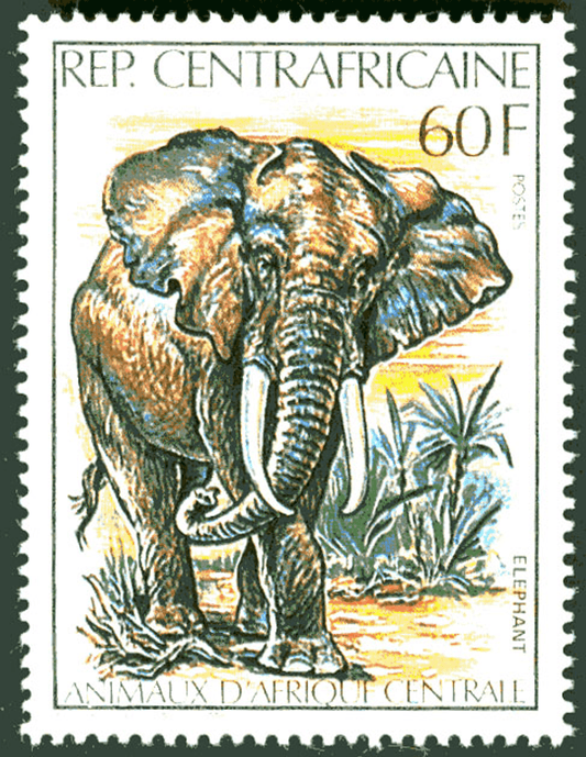 Central Africa Animals