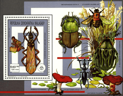 Pathfinger Movement Insects and Fungi 1991