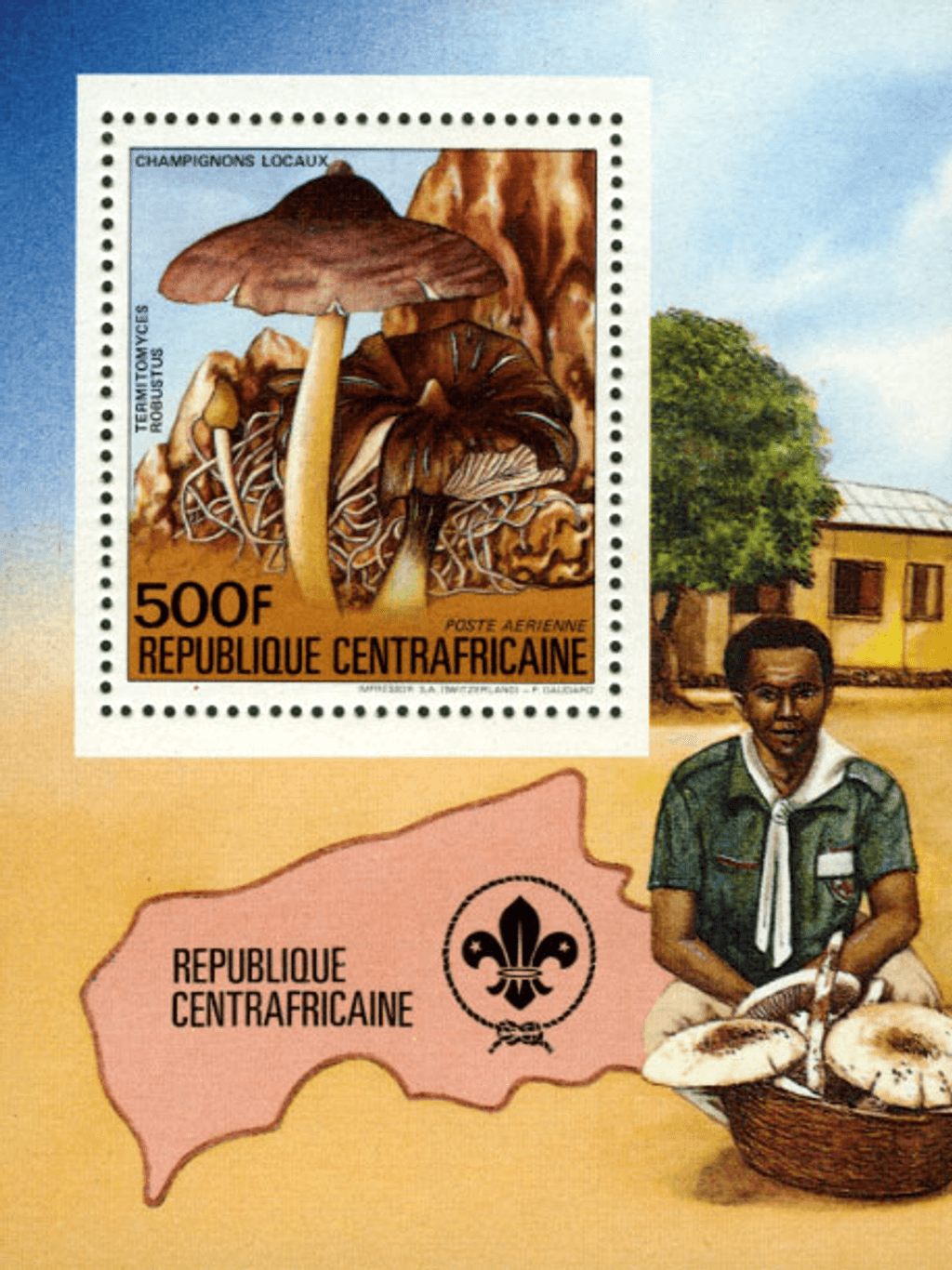 Local Mushrooms 1984