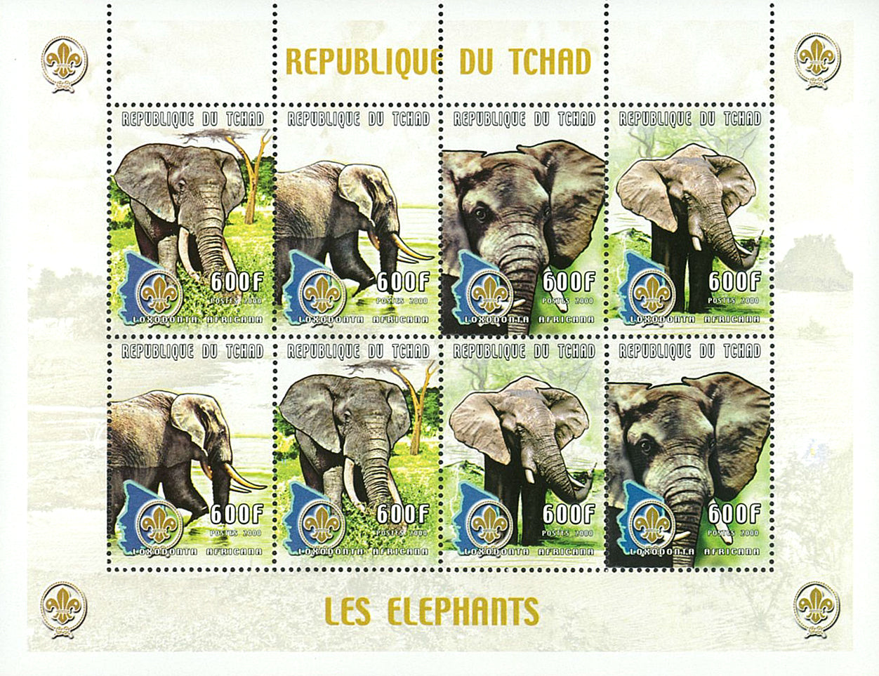 Wild Fauna & Scounting