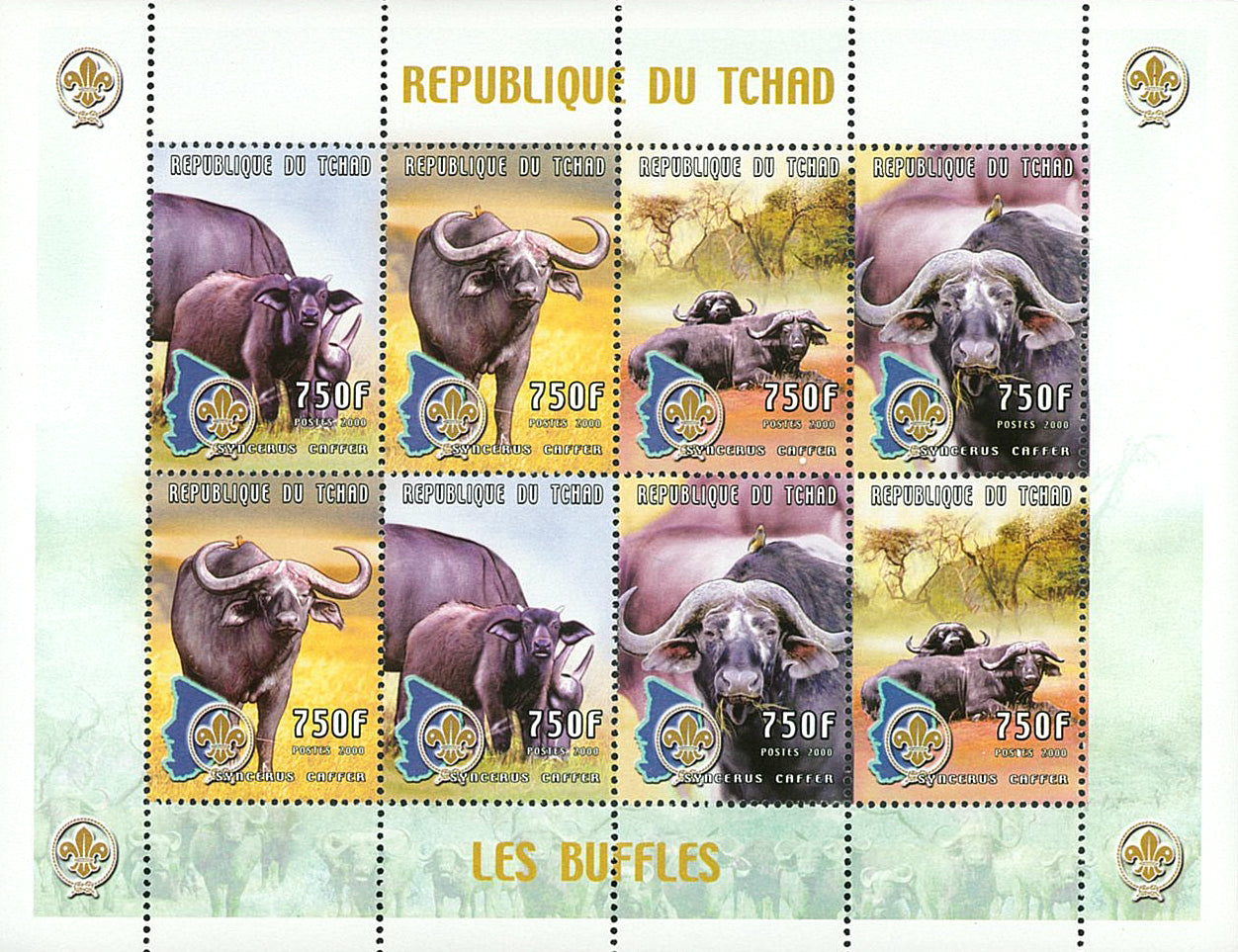 Wild Fauna & Scounting