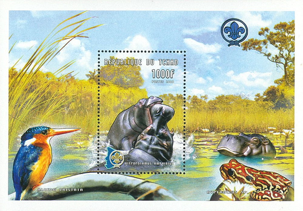 Wild Fauna & Scounting