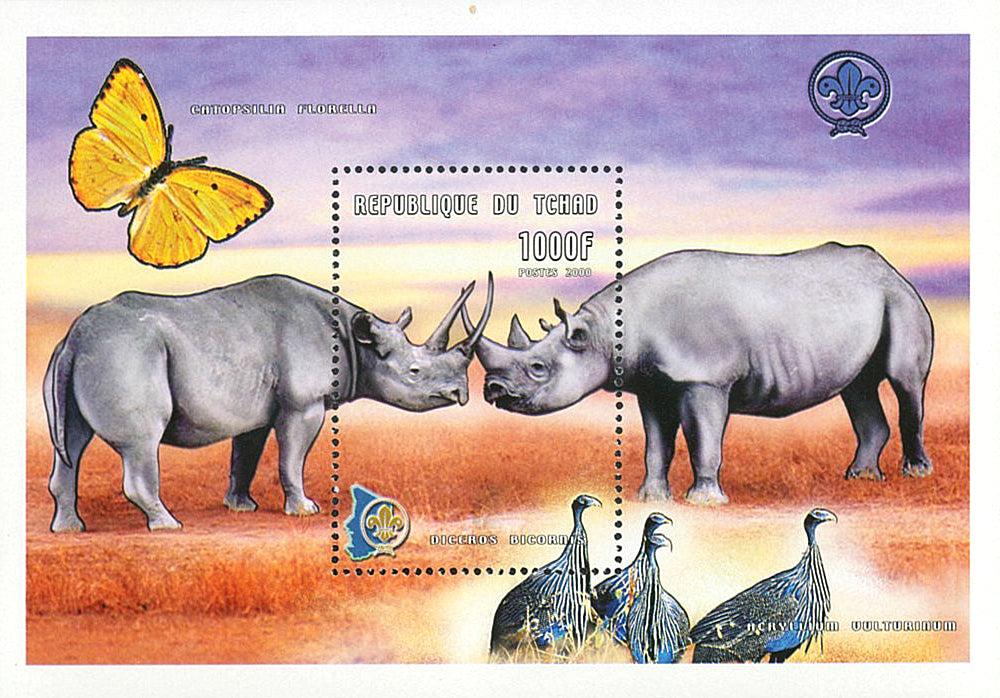 Wild Fauna & Scounting