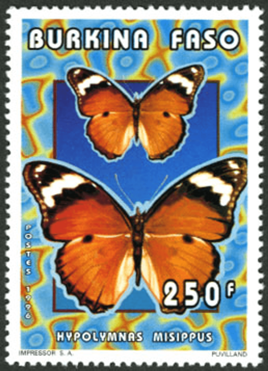 Butterflies (2613)