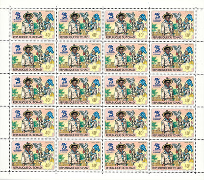 75th anniversary of scouting