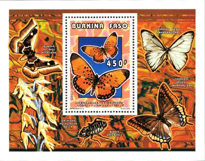 Butterflies (2613)