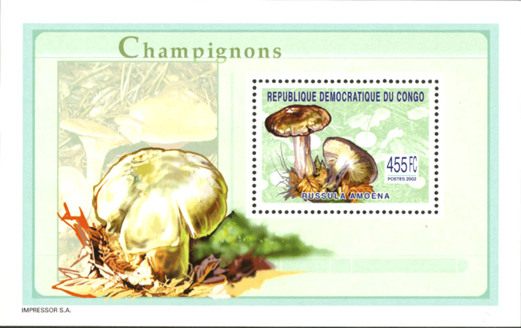 Mushrooms