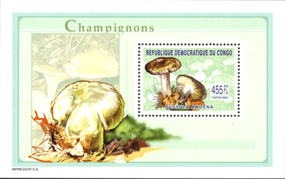 Mushrooms