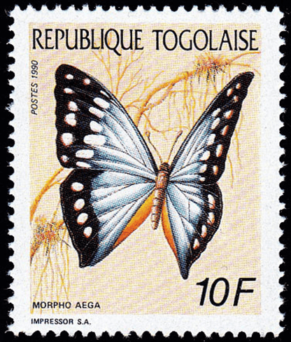 Butterflies  1990