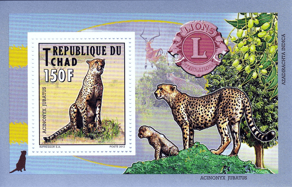 Native Mammals 2012