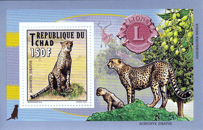Native Mammals 2012