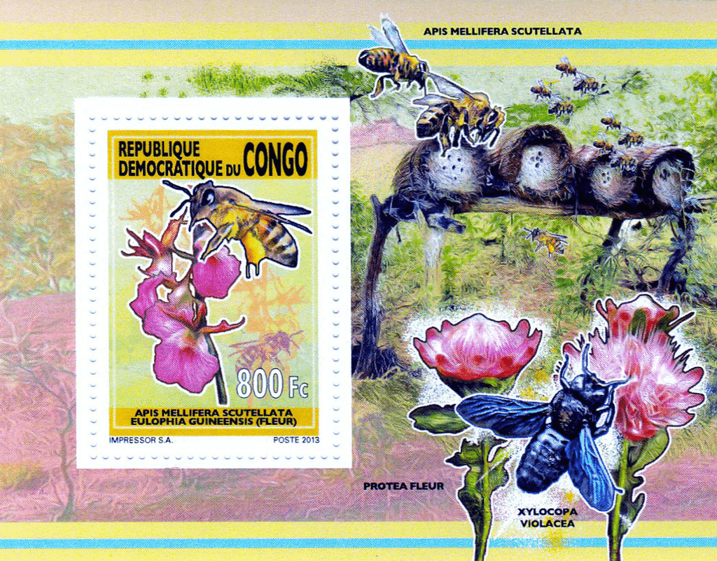 Bees and flowers