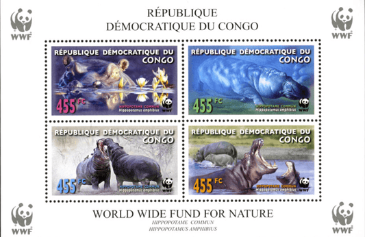 WWF , Hippo
