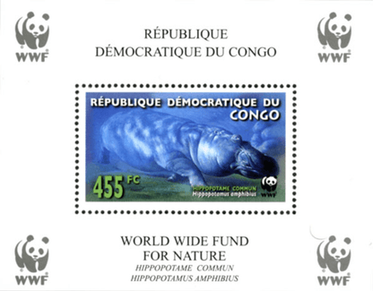 WWF , Hippo