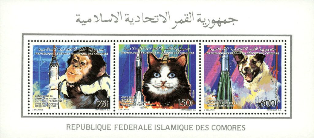 Space & animals