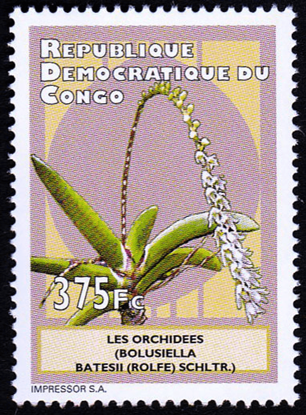 Orchids 2012