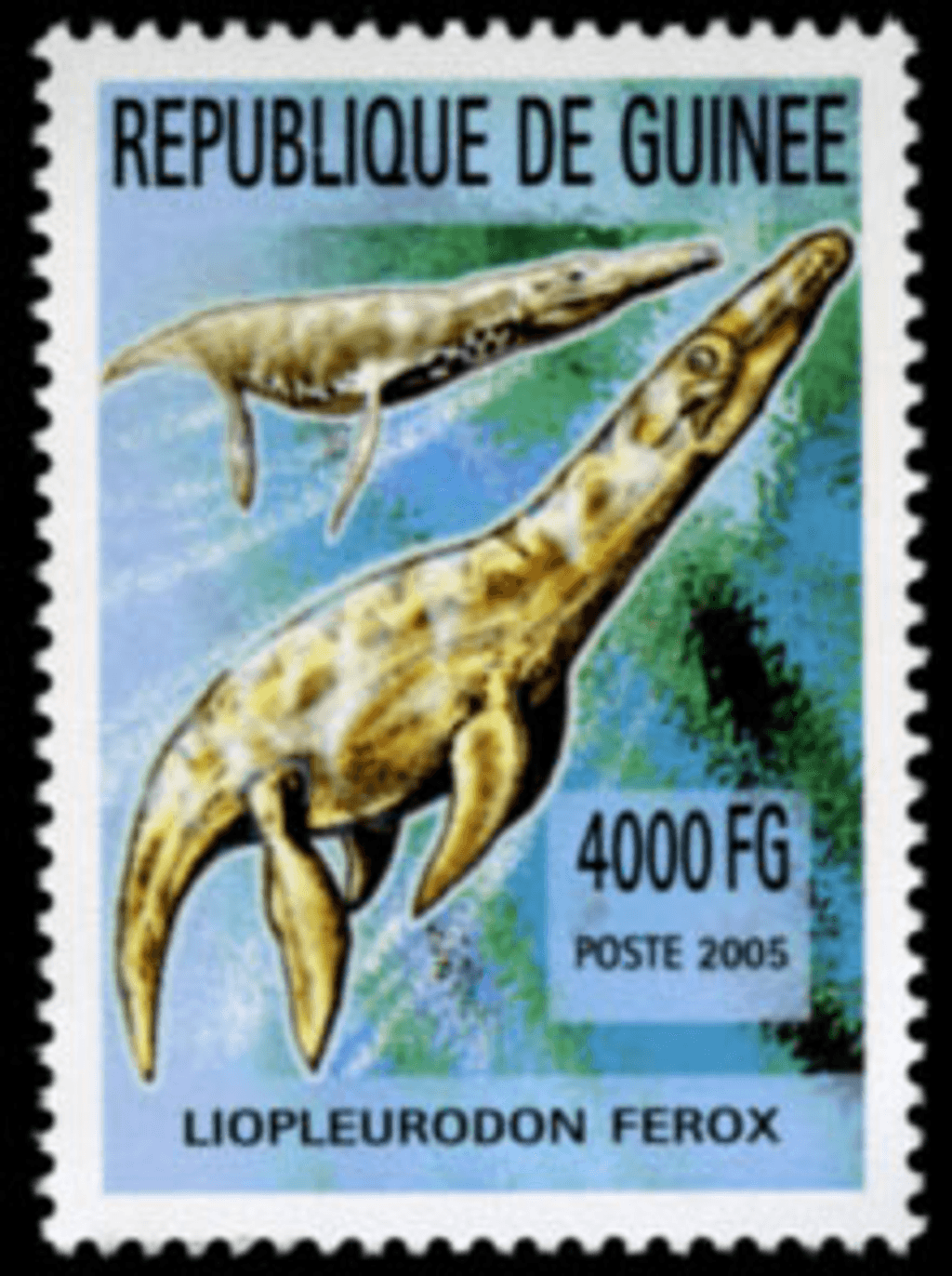 Marine Animals (820)