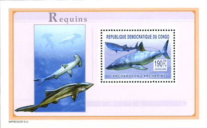 Marine Animals